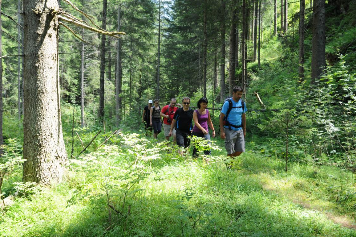 Wandern, Wasser und Ausflüge zwischen Talboden und Gipfeln